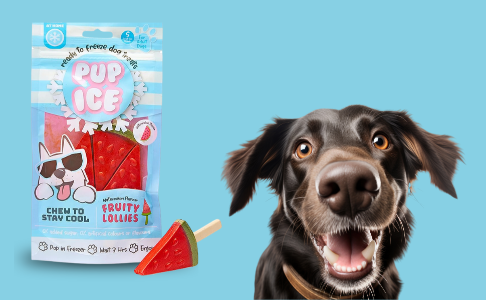 SPOT Pup Ice- Ready to Freeze at Home Dog Treats-Edible Chews for Medium Breed Dogs &amp; Puppies