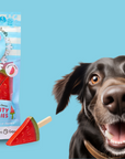 SPOT Pup Ice- Ready to Freeze at Home Dog Treats-Edible Chews for Medium Breed Dogs & Puppies