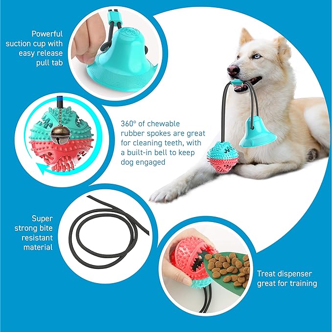Suction Cup Tug-of-War Dog Toy