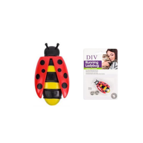 Electronic Ladybug Cat Toy