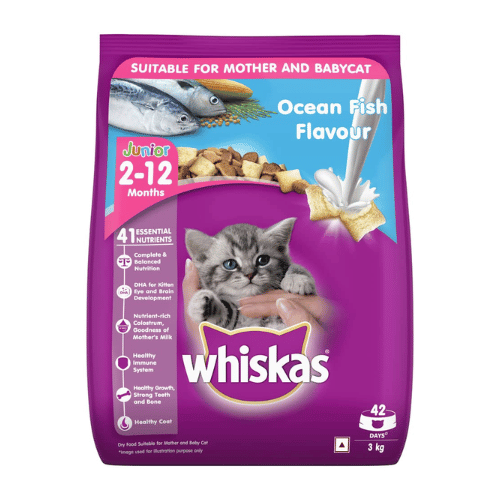 Whiskas Kitten (2-12 months) Dry Cat Food, Ocean Fish with Milk
