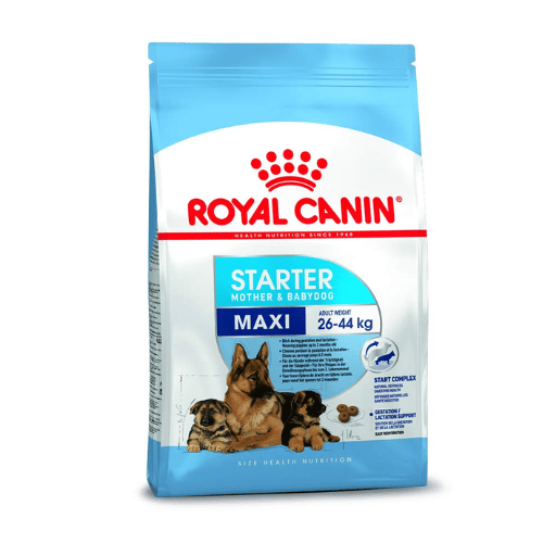 Royal Canin Maxi Starter Dog Food